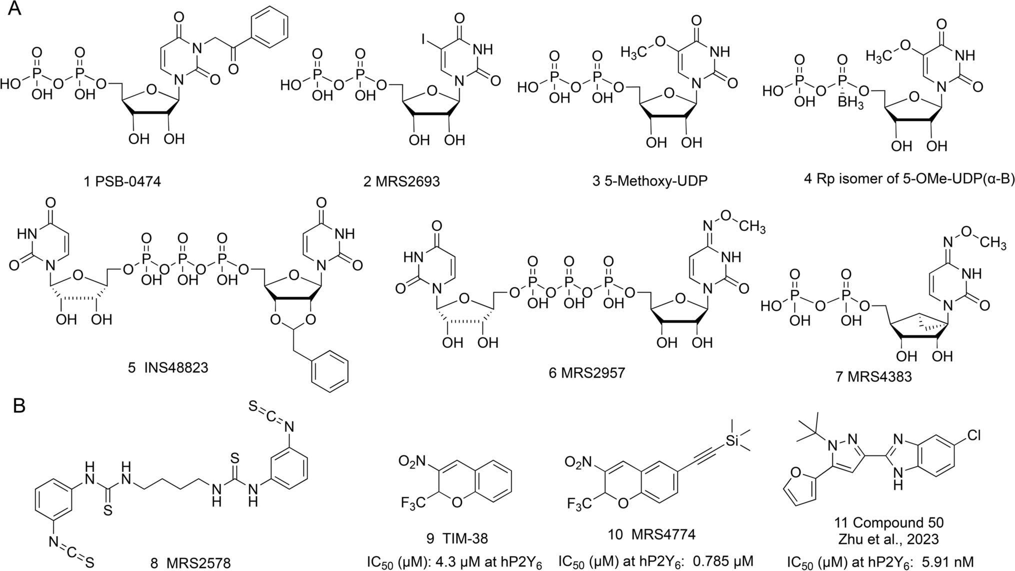 Machine learning-aided search for ligands of P2Y6 and other P2Y receptors