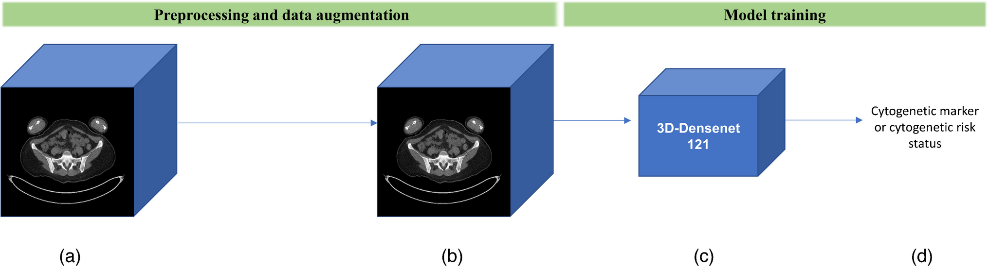 Whole-body low-dose computed tomography in patients with newly diagnosed multiple myeloma predicts cytogenetic risk: a deep learning radiogenomics study