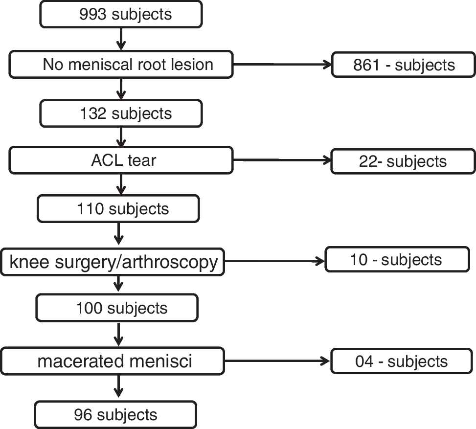Degenerative medial and lateral menisci root tears: demographics, clinical presentation, imaging features, and associated findings