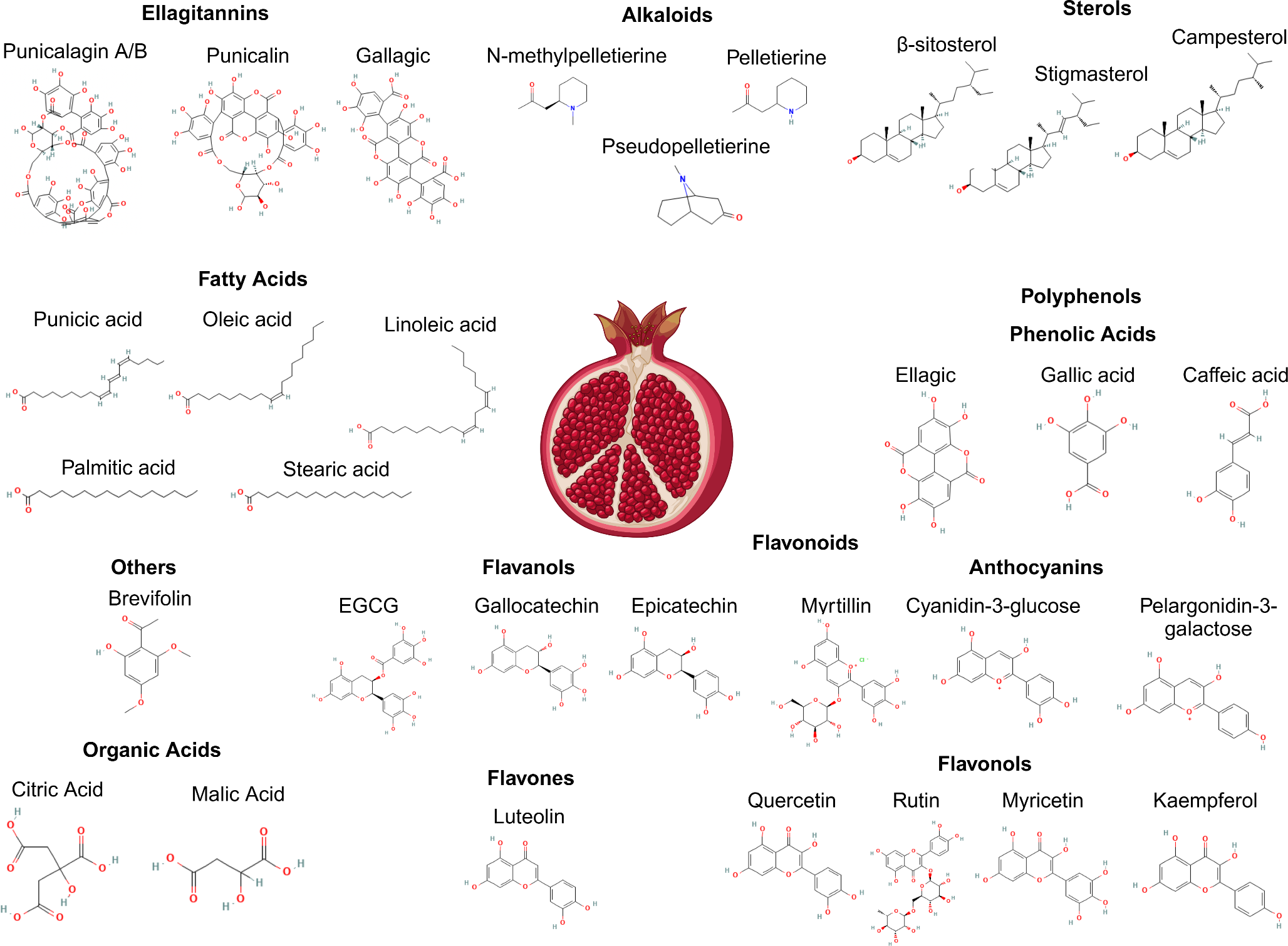 Beneficial Effects of Pomegranate Extracts for Benign Gynecologic Disorders