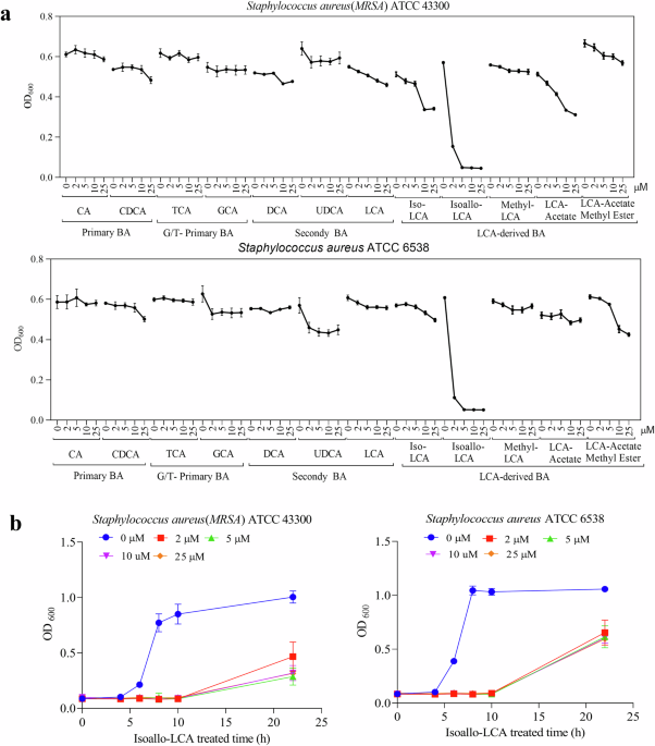 Therapeutic potential of isoallolithocholic acid in methicillin-resistant Staphylococcus Aureus peritoneal infection