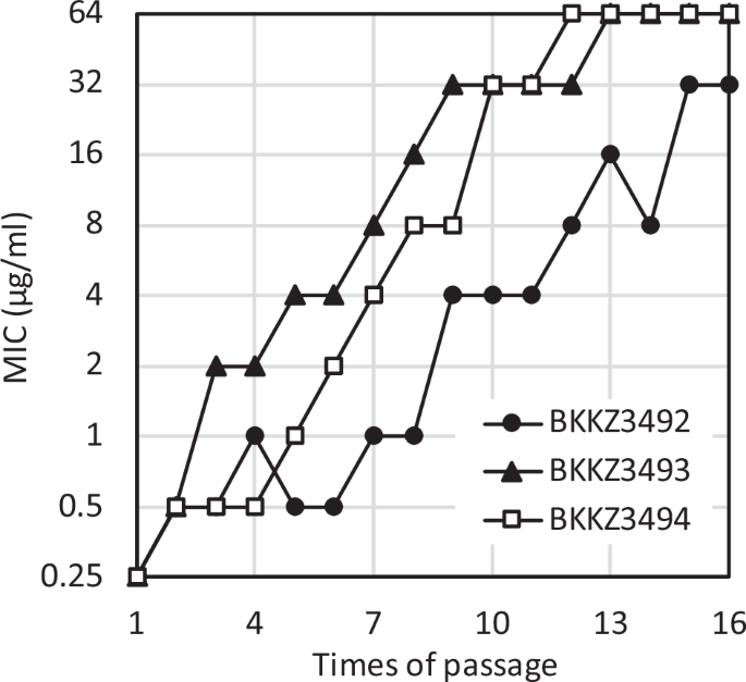 Novobiocin primarily targets ParE in Neisseria gonorrhoeae