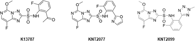 Inhibitors of acetohydroxyacid synthase as promising agents against non-tuberculous mycobacterial diseases