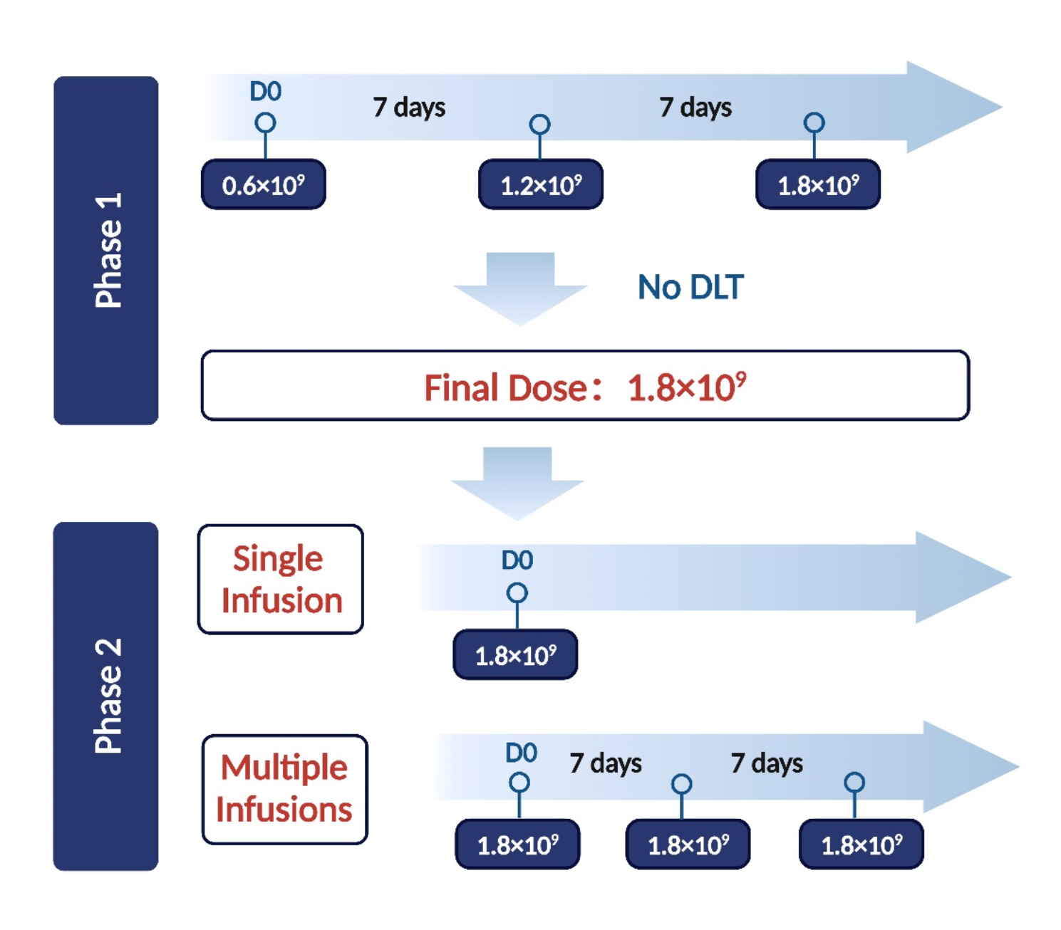 Safety and efficacy of CD33-targeted CAR-NK cell therapy for relapsed/refractory AML: preclinical evaluation and phase I trial
