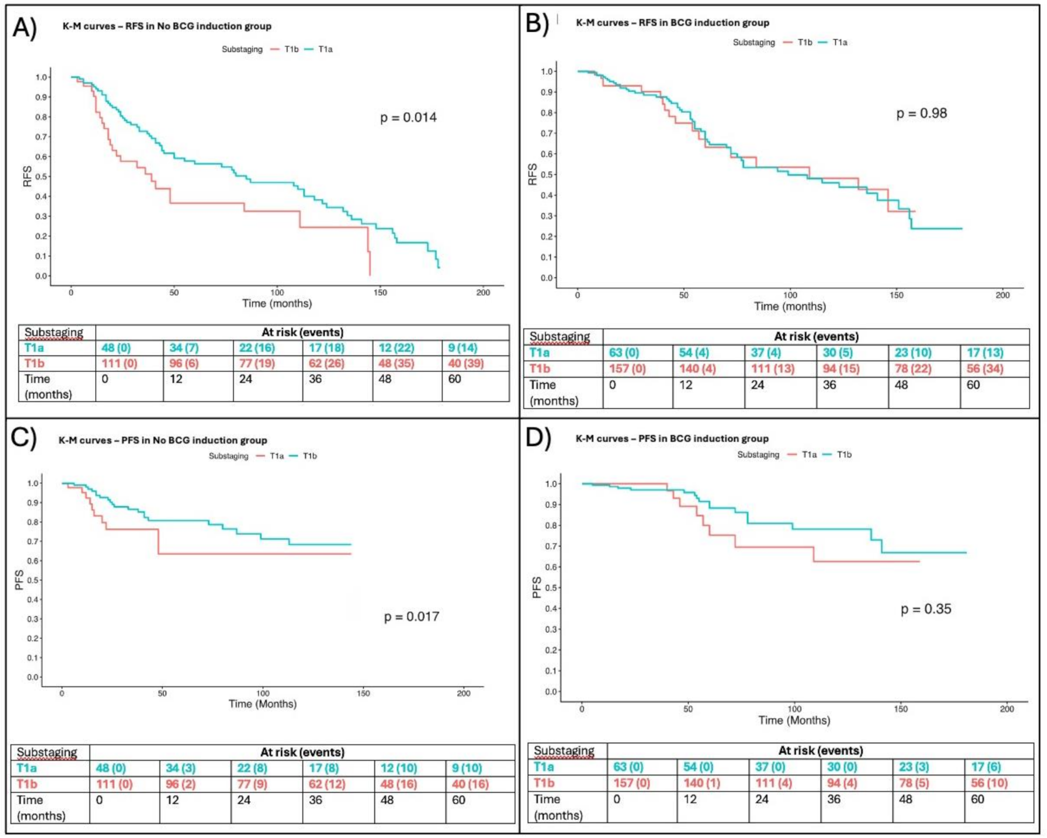 Oncological outcomes and prognostic implications of T1 histo-anatomic substaging in the management of high-Grade non-muscle invasive bladder cancer: results from a large single centre series