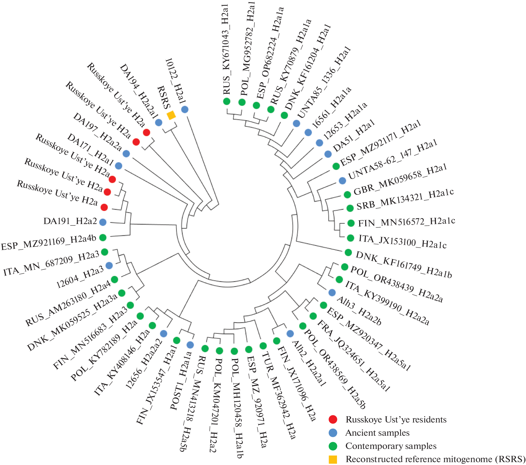 Analysis of the Mitochondrial Gene Pool Structure of Russian Old-Settlers of the Arctic Coast of Yakutia from the Village of Russkoye Ust’ye