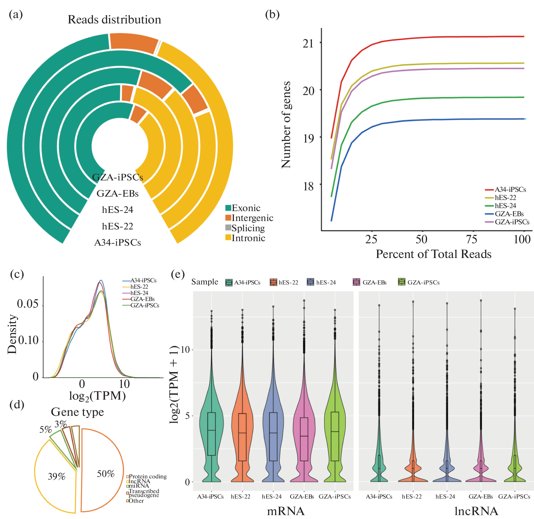 Bioinformatic Analysis of the Molecular Pathways of ATRX and XIST in X Chromosome Inactivation