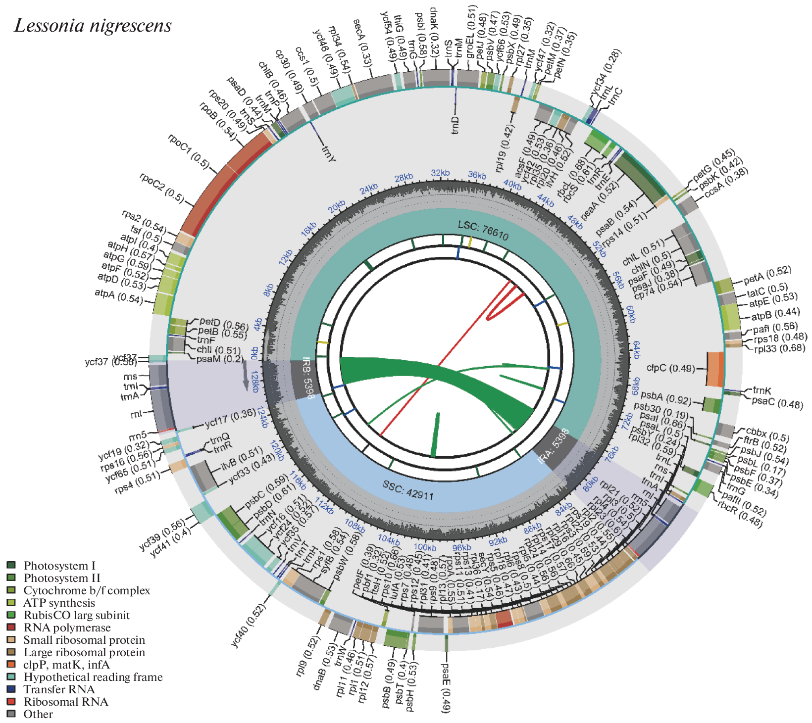 The Complete Chloroplast Genome of Lessonia nigrescens and Phylogenetic Analysis