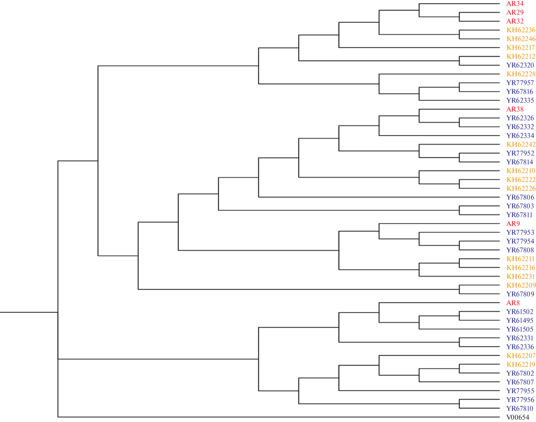 Study of the Cattle Mitochondrial Genomes from Archaeological Finds on the Territory of Yaroslavl (13th–14th Centuries)