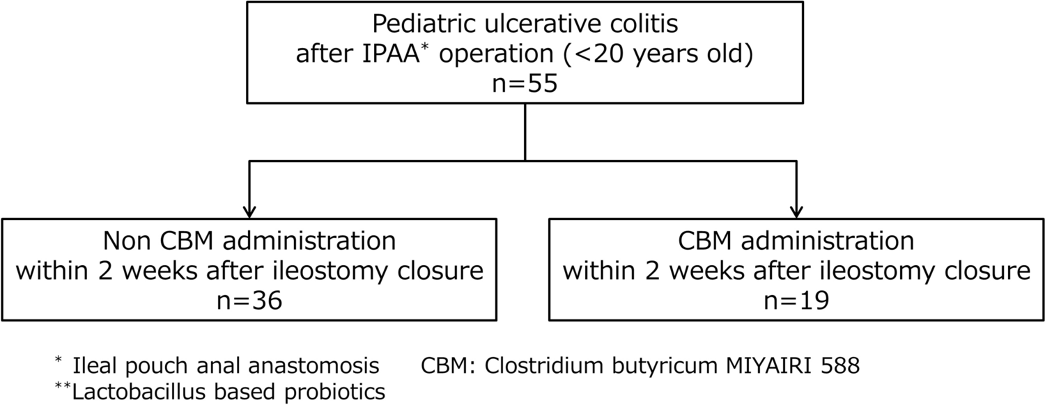 Preventive effect of Clostridium butyricum MIYAIRI against pouchitis in children with ulcerative colitis