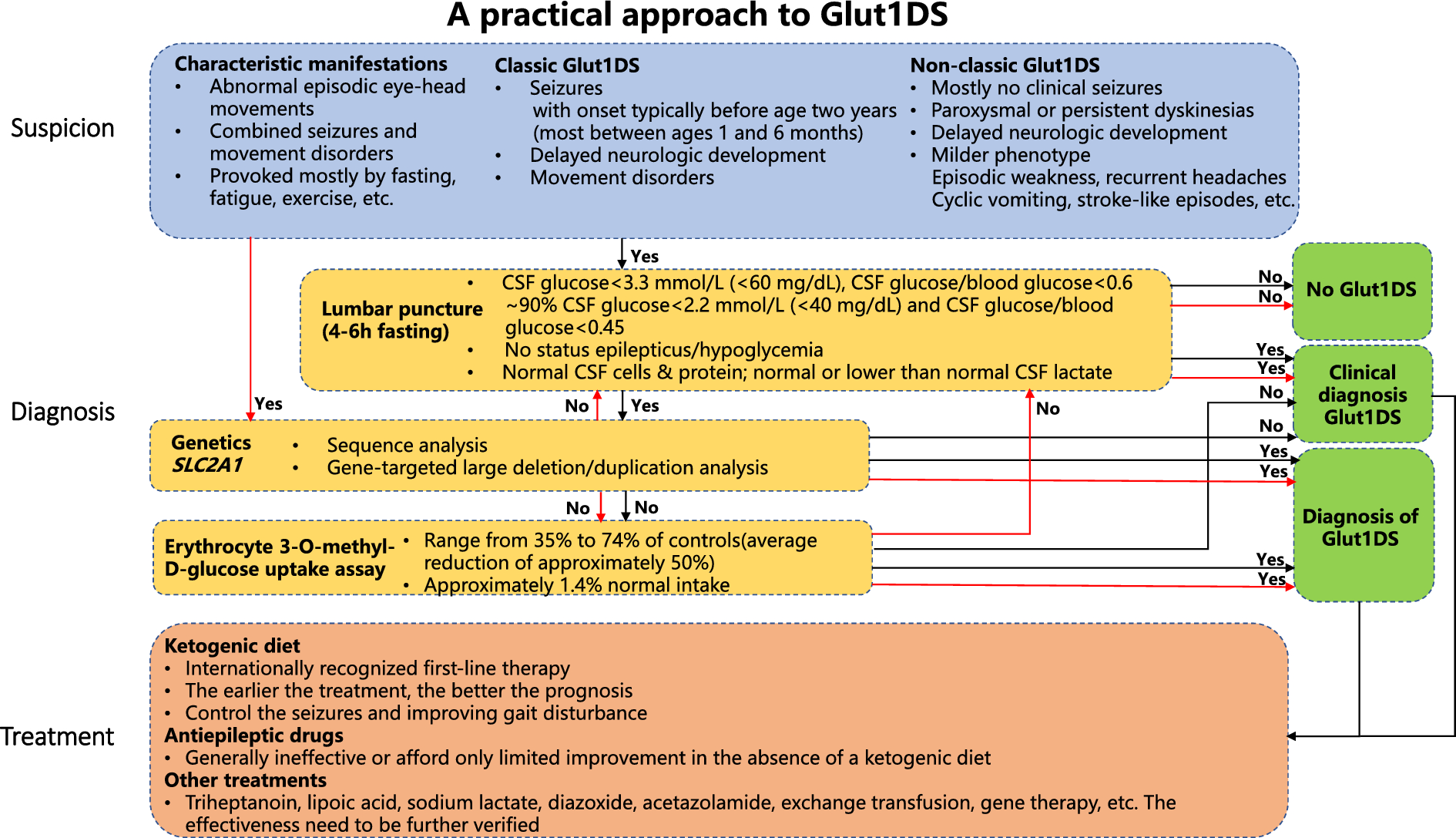 Diagnosis and treatment recommendations for glucose transporter 1 deficiency syndrome