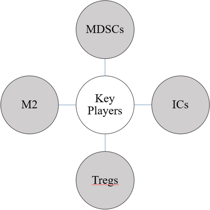 Nanobodies as innovative immune checkpoint modulators: advancing cancer immunotherapy