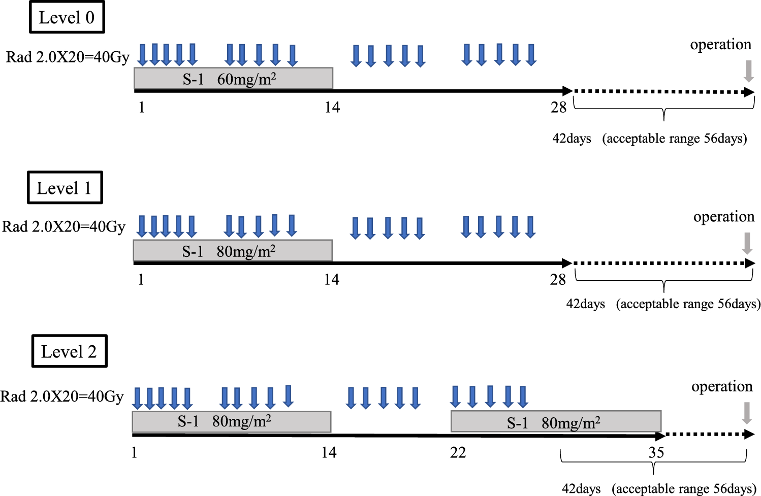 Phase I study of neoadjuvant chemoradiotherapy with S-1 for clinically resectable type 4 or large type 3 gastric cancer in elderly patients aged 75 years and older (OGSG1303)