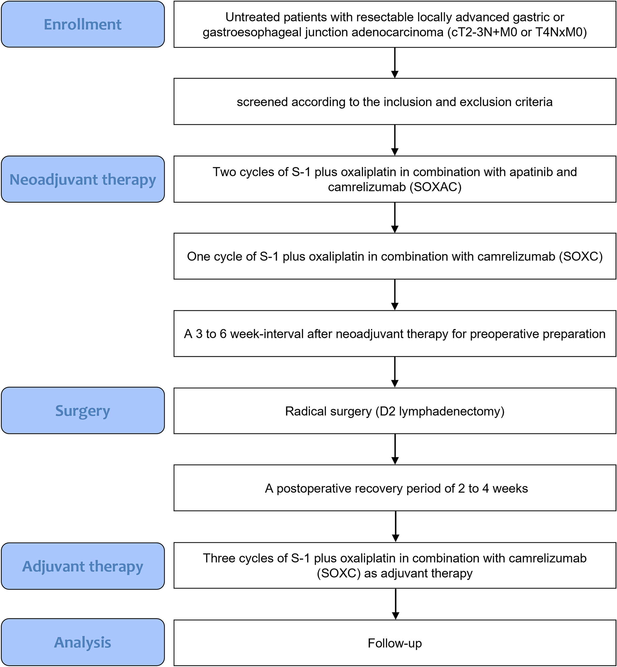 Efficacy and safety of S-1 plus oxaliplatin combined with apatinib and camrelizumab as neoadjuvant therapy for patients with locally advanced gastric or gastroesophageal junction adenocarcinoma: a protocol for a single-arm phase II trial
