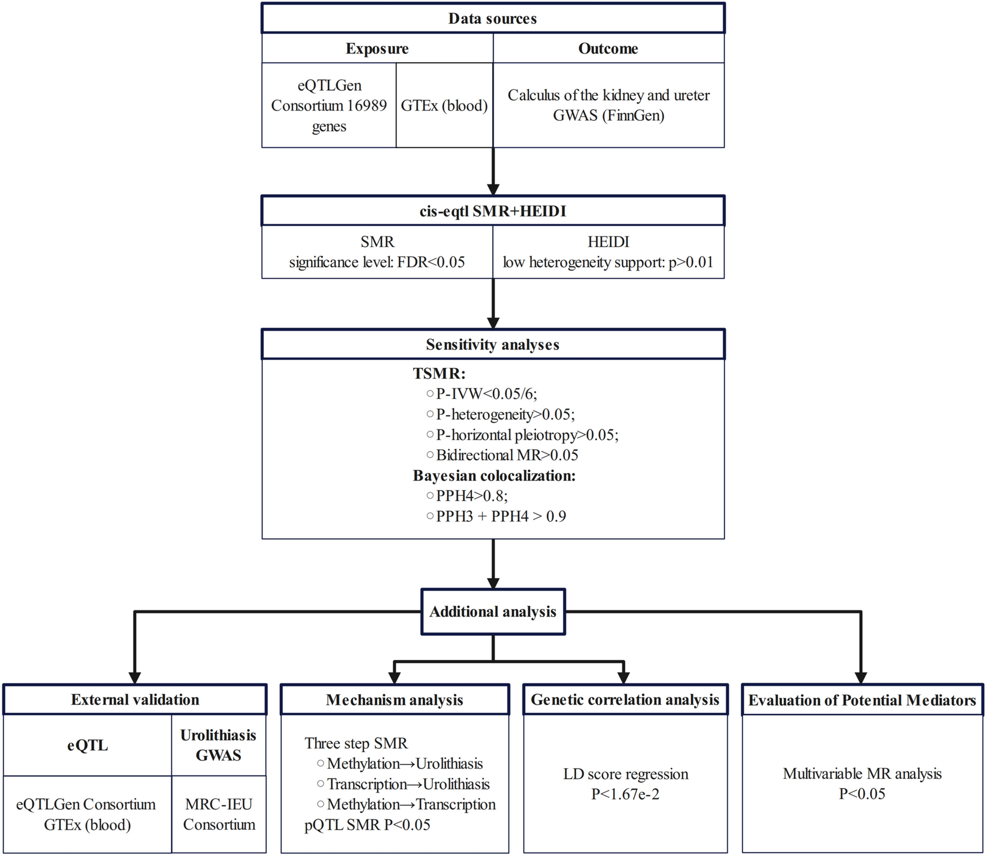 Identification of potential pathogenic genes for urolithiasis through multi-omics Mendelian randomization analysis