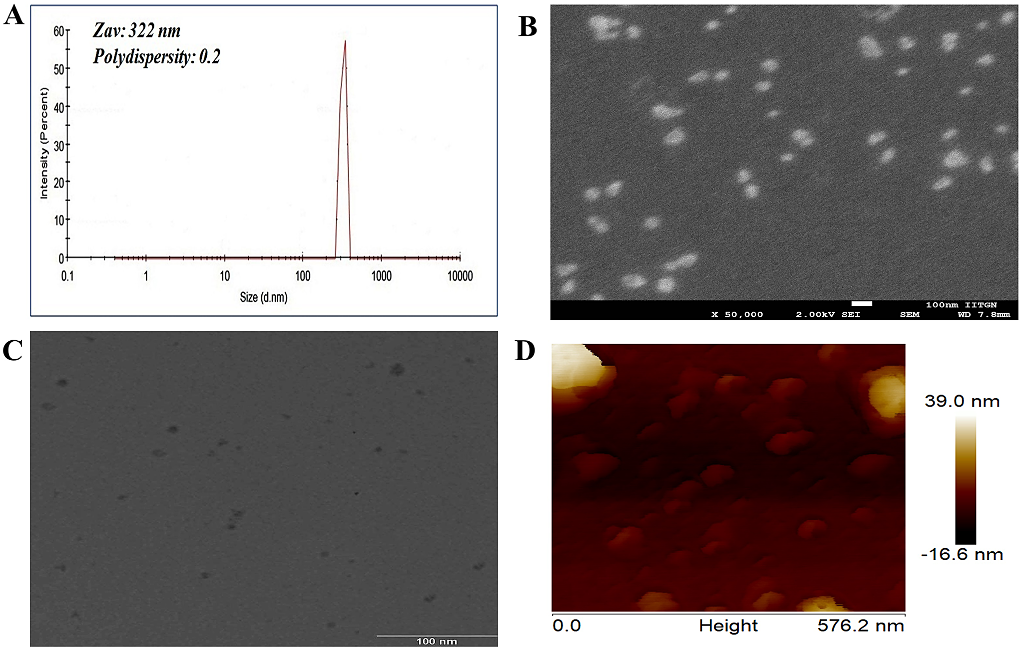 Annexin-derived self-assembling peptide nanostructures for alleviation of calcium oxalate -induced renal injury