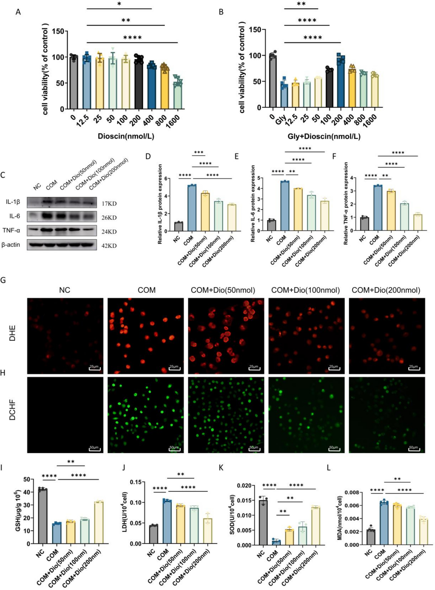 Based on network pharmacology, the mechanism of Dioscin in alleviating renal tubular epithelial cell injury induced by calcium oxalate crystals was explored