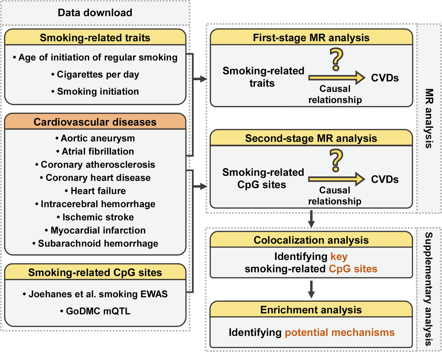 Unraveling the causal impact of smoking and its DNA methylation signatures on cardiovascular disease: Mendelian randomization and colocalization analysis