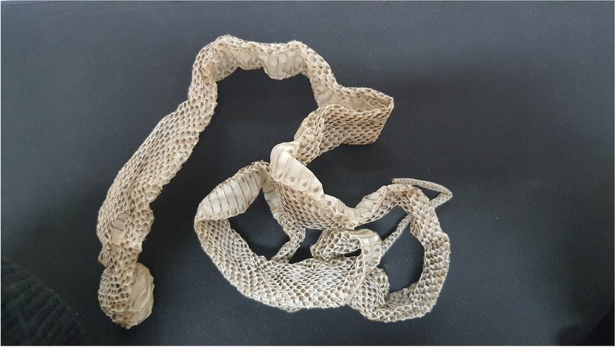 Synthesizing hybrid copper phosphate (Cu3(PO4)2) nanoflowers using Cu+2 and shed snakeskin: antioxidant, antibacterial, anticancer, guaiacol, anionic, and cationic dye degradation properties