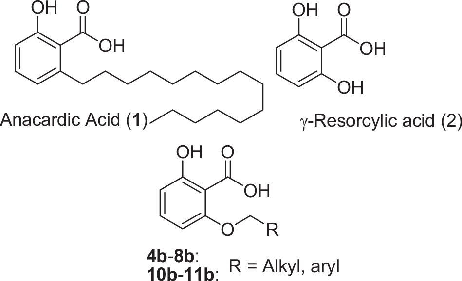 The Activation of the CCND1 Promoter by AP-1 and SOX Transcription Factors in PC3 Prostate Cancer Cells Can Be Prevented by Anacardic Acid Analogs