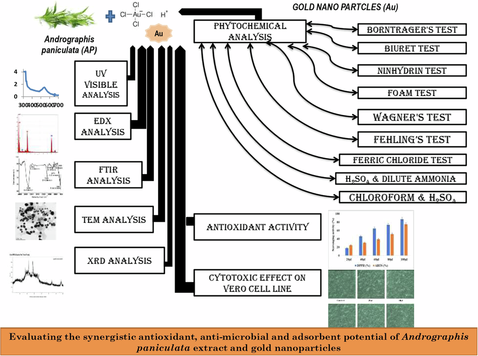 Evaluating the Synergistic Antioxidant, Anti-microbial and Adsorbent Potential of Andrographis Paniculata Extract and Gold Nanoparticles