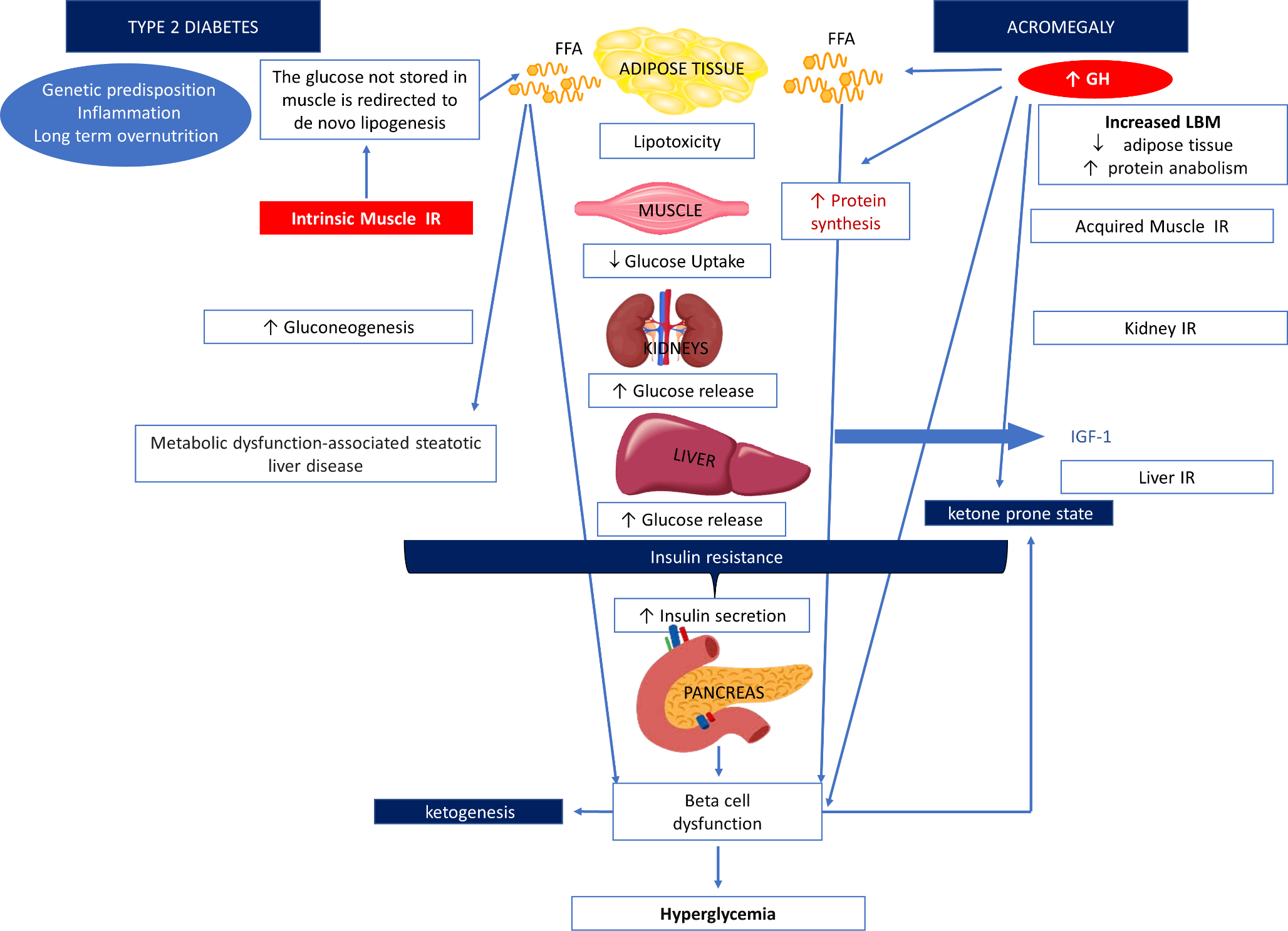 Treatment of acromegaly-induced diabetes: an updated proposal