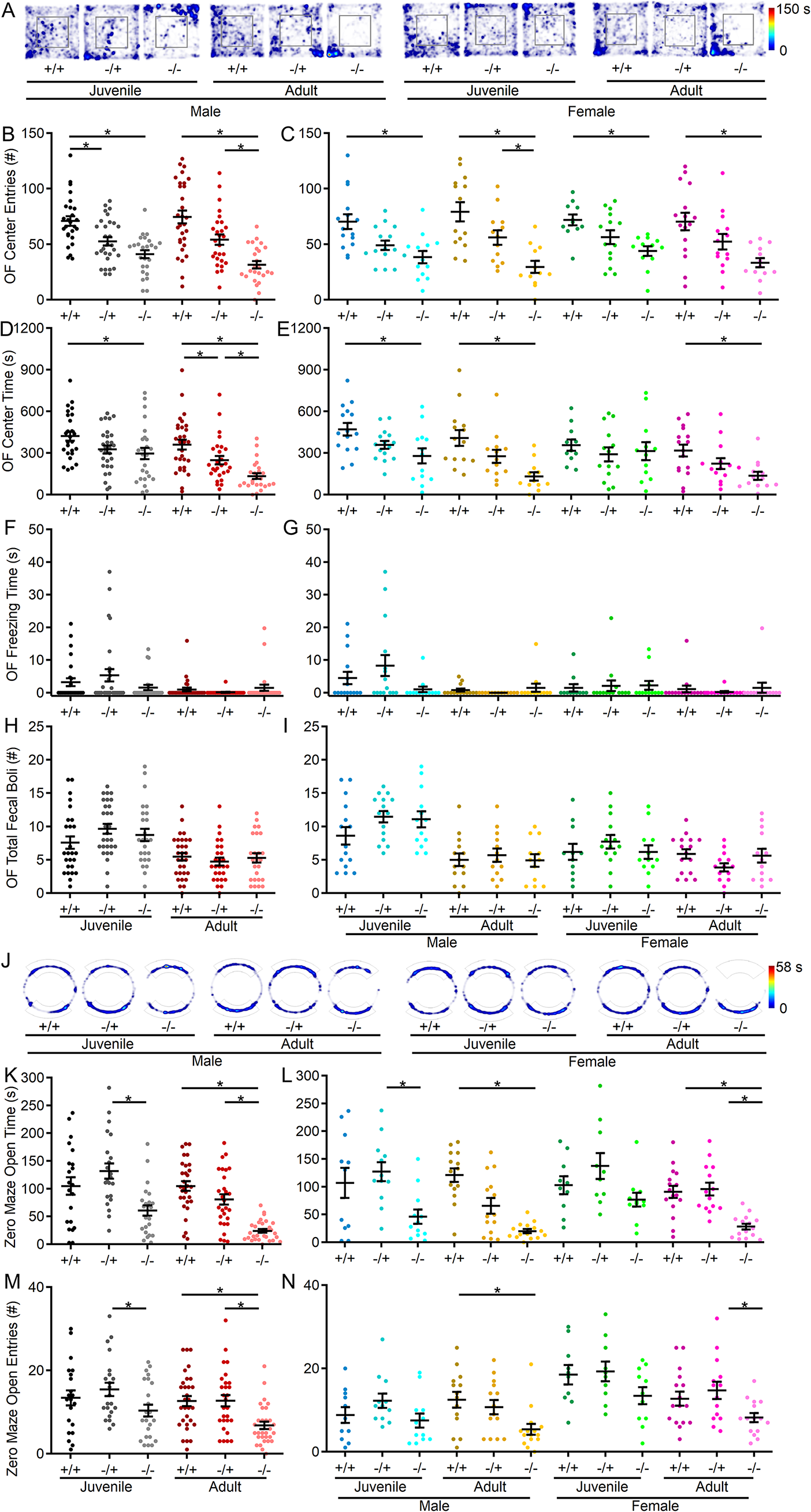 Behavioral decline in Shank3Δex4–22 mice during early adulthood parallels cerebellar granule cell glutamatergic synaptic changes