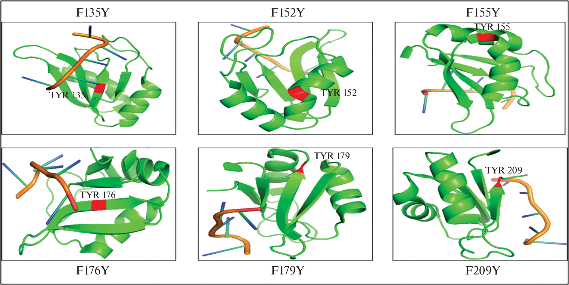 Elucidating the Effects of Aromatic Mutations on the RNA Binding Efficacy of CELF2 Protein