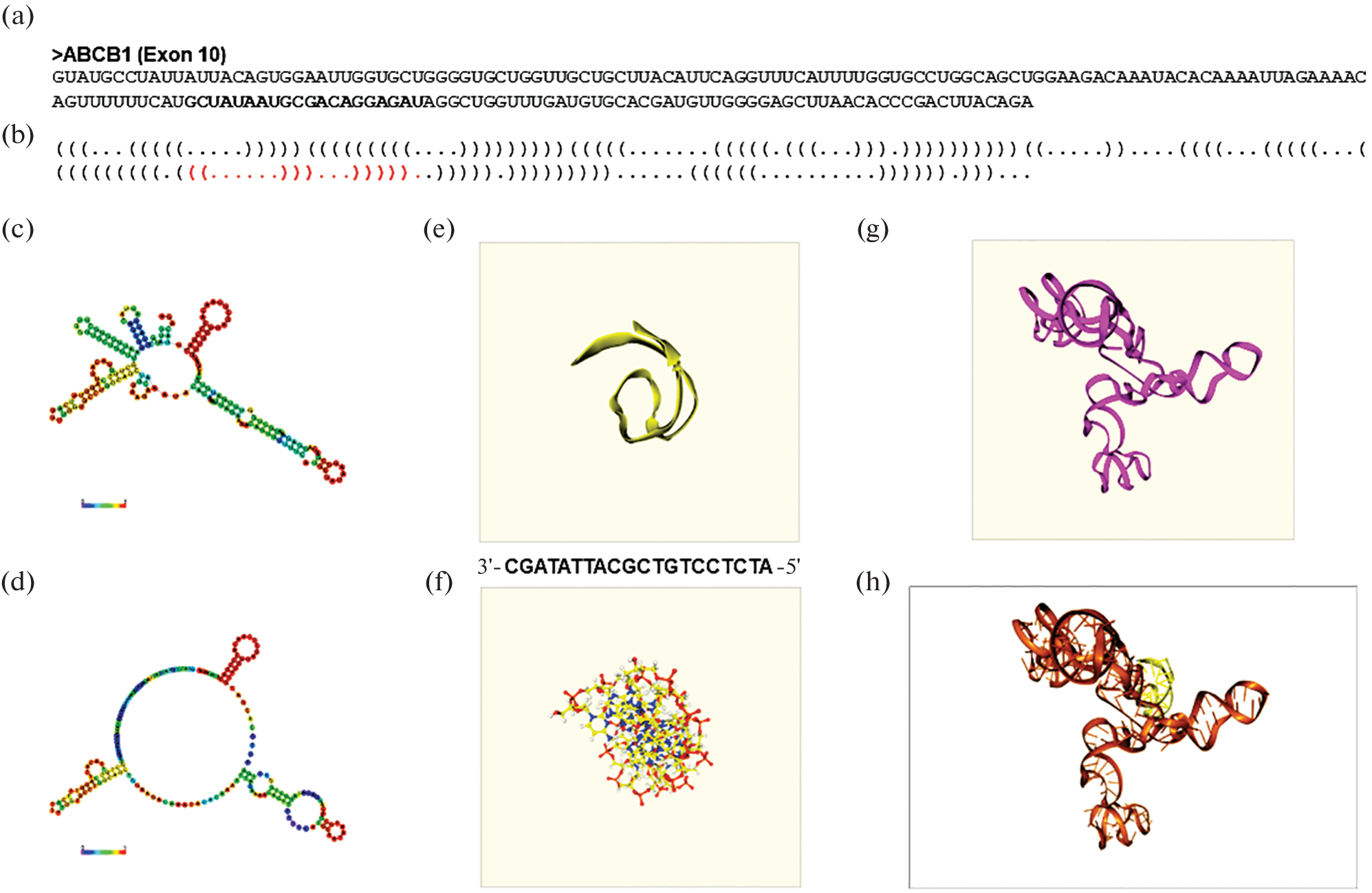 N-Acetylgalactosamine-Conjugated Antisense Oligonucleotides Designed as Inhibitors of ABCB1: Coping with Multidrug Resistance in Hepatocellular Carcinoma