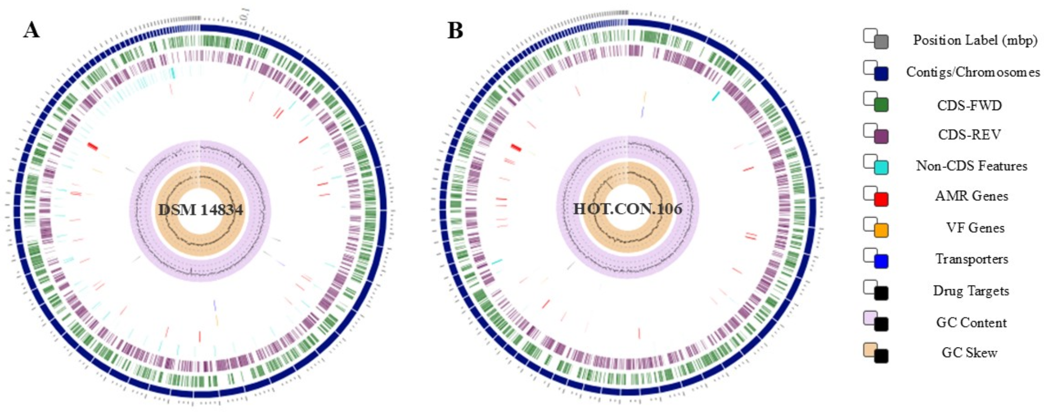 Genomic insights into Thermomonas hydrothermalis: potential applications in industrial biotechnology