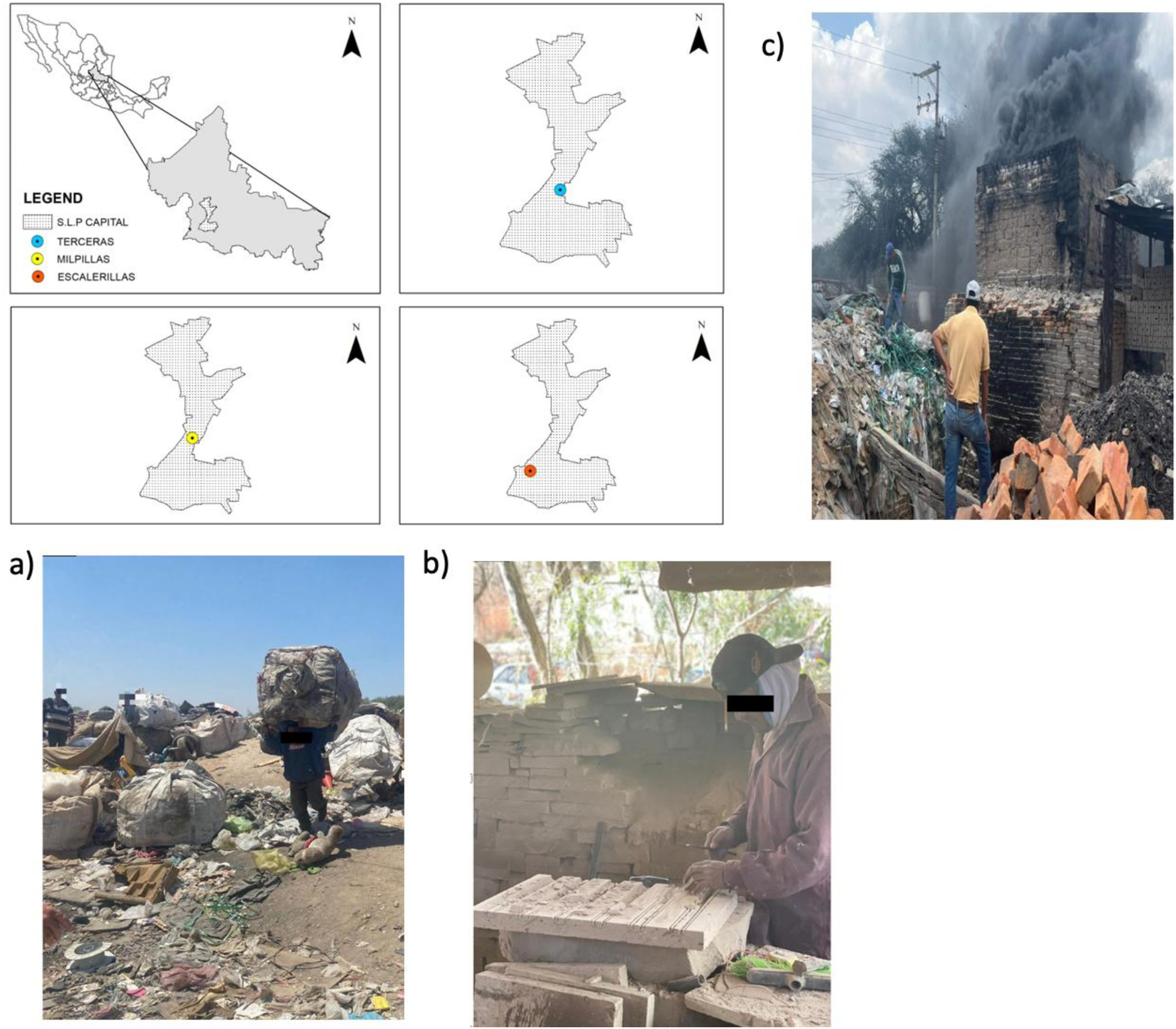 Exposure to multiple heavy metals associated with levels of inflammatory cytokines in workers in vulnerable conditions