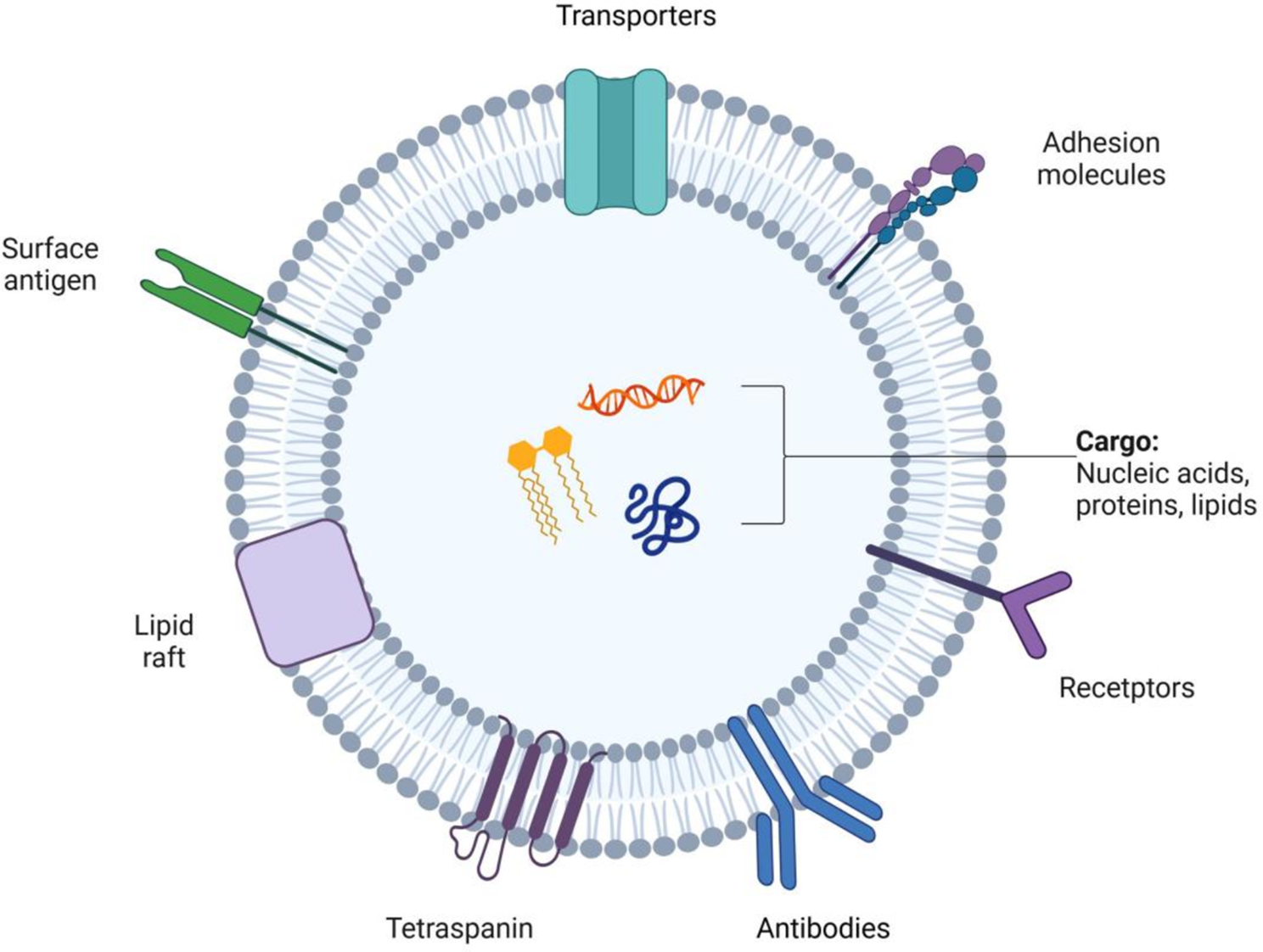 Emerging role of exosomes in cancer therapy: progress and challenges