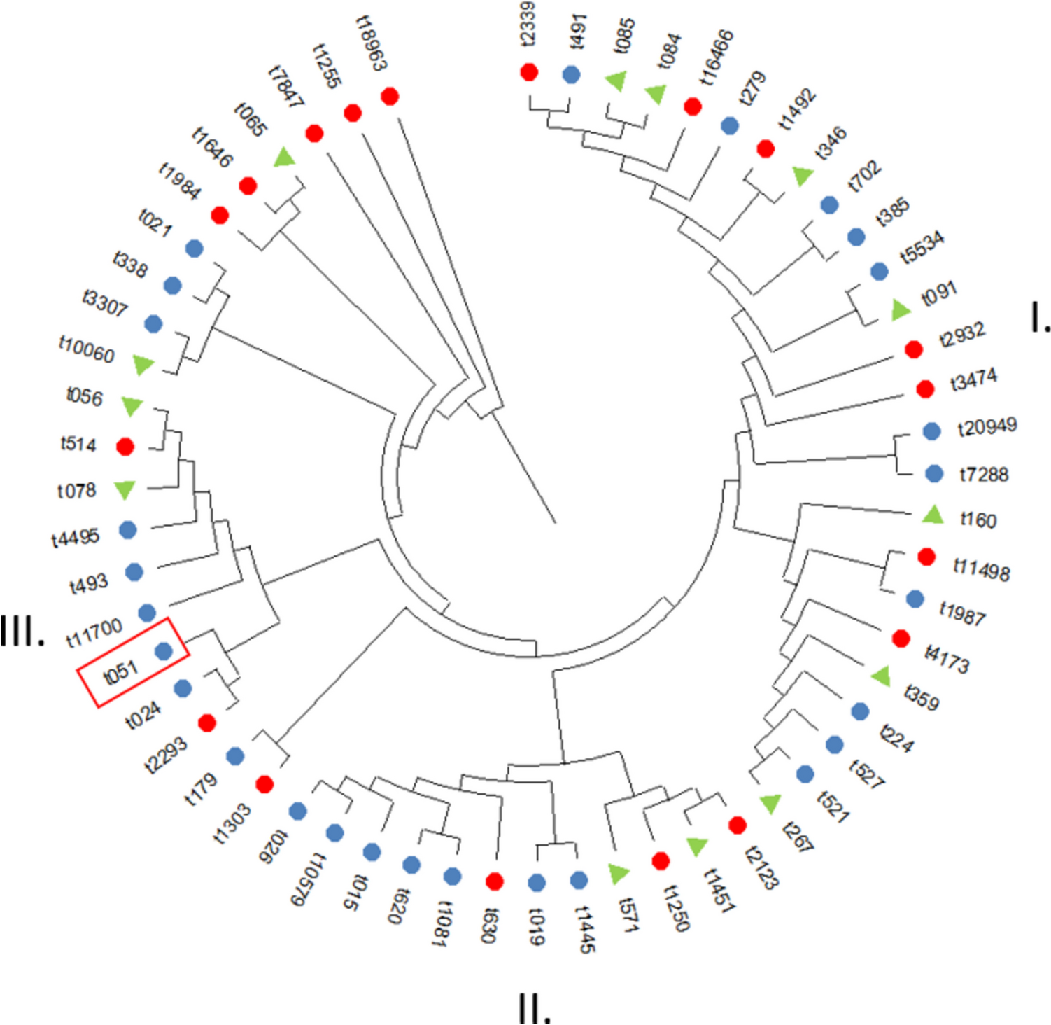 Asymptomatic carriage and molecular characterization of Staphylococcus aureus in pre-clinical and clinical medical students