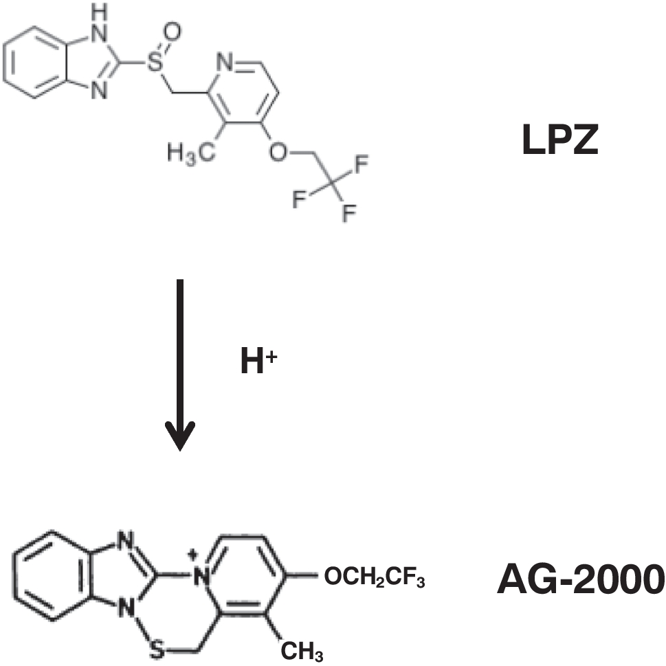 Immunobiological effects of lipopolysaccharide derived from Helicobacter pylori and influence of a proton pump inhibitor lansoprazole on human polymorphonuclear leukocytes