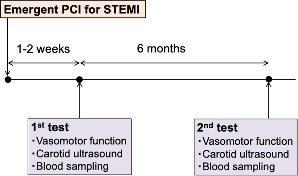 Association between carotid plaque progression and persistent endothelial dysfunction in an infarct-related coronary artery in STEMI survivors