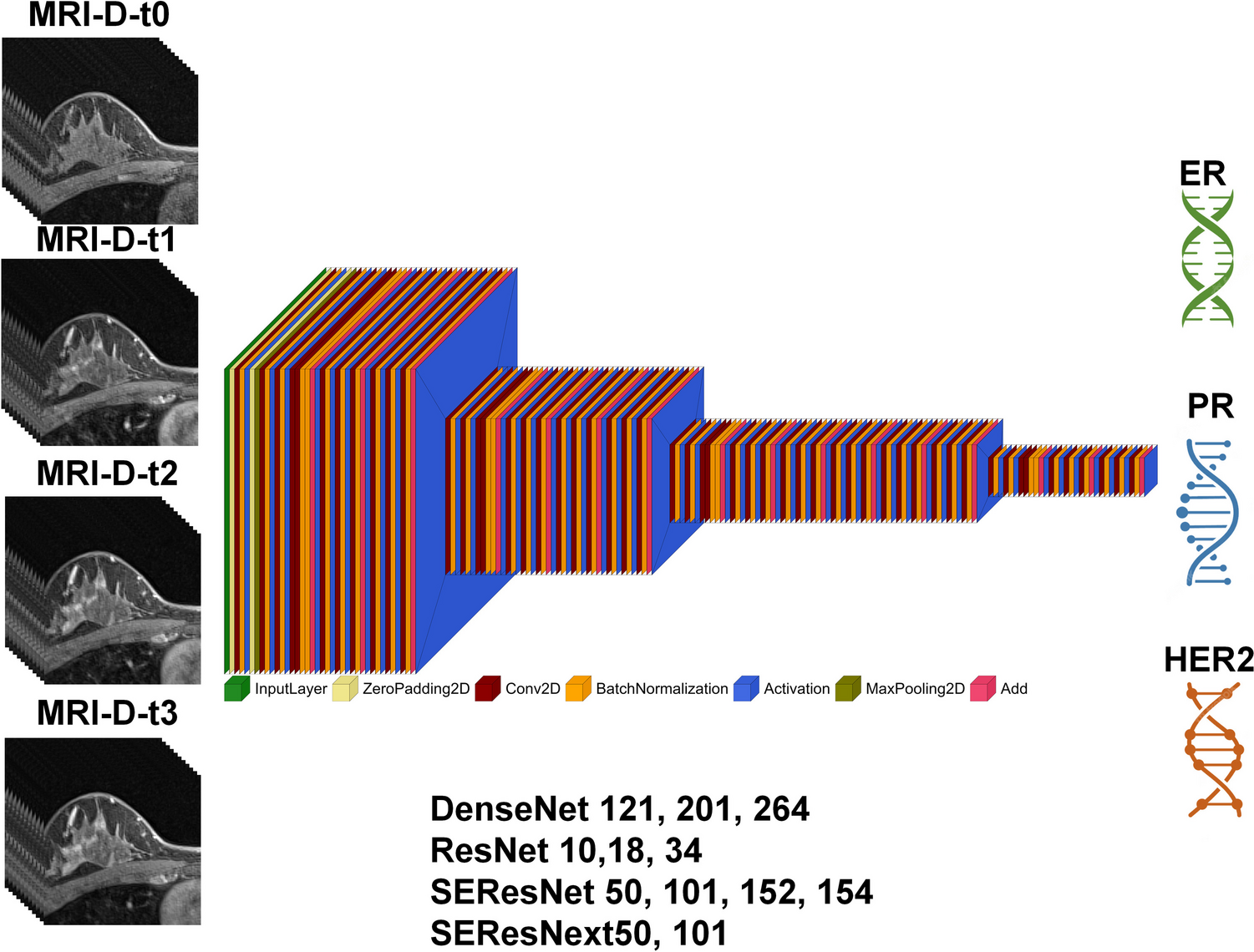 Deep Radiogenomics Sequencing for Breast Tumor Gene-Phenotype Decoding Using Dynamic Contrast Magnetic Resonance Imaging