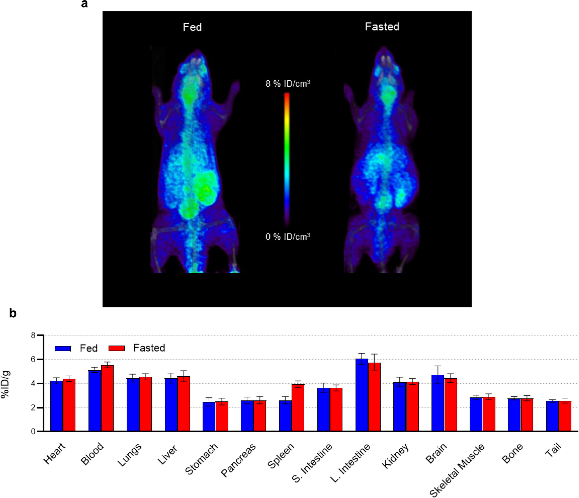 2-[18F]Fluoropropionic Acid PET Imaging of Doxorubicin-Induced Cardiotoxicity