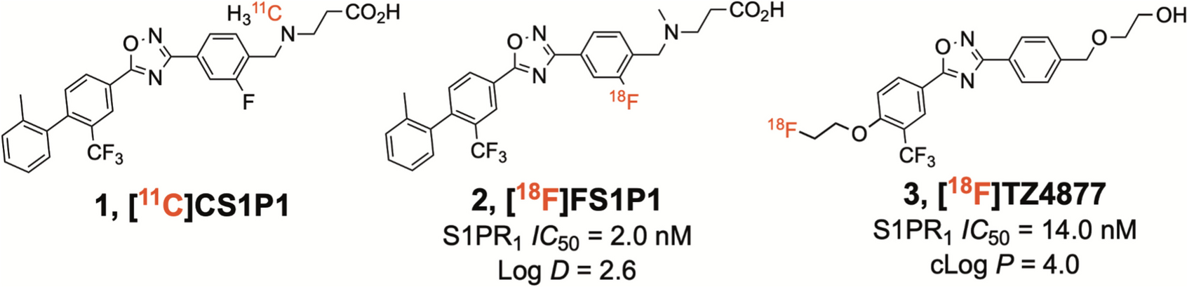 PET Imaging of Sphingosine-1-Phosphate Receptor 1 with [18F]TZ4877 in Nonhuman Primates