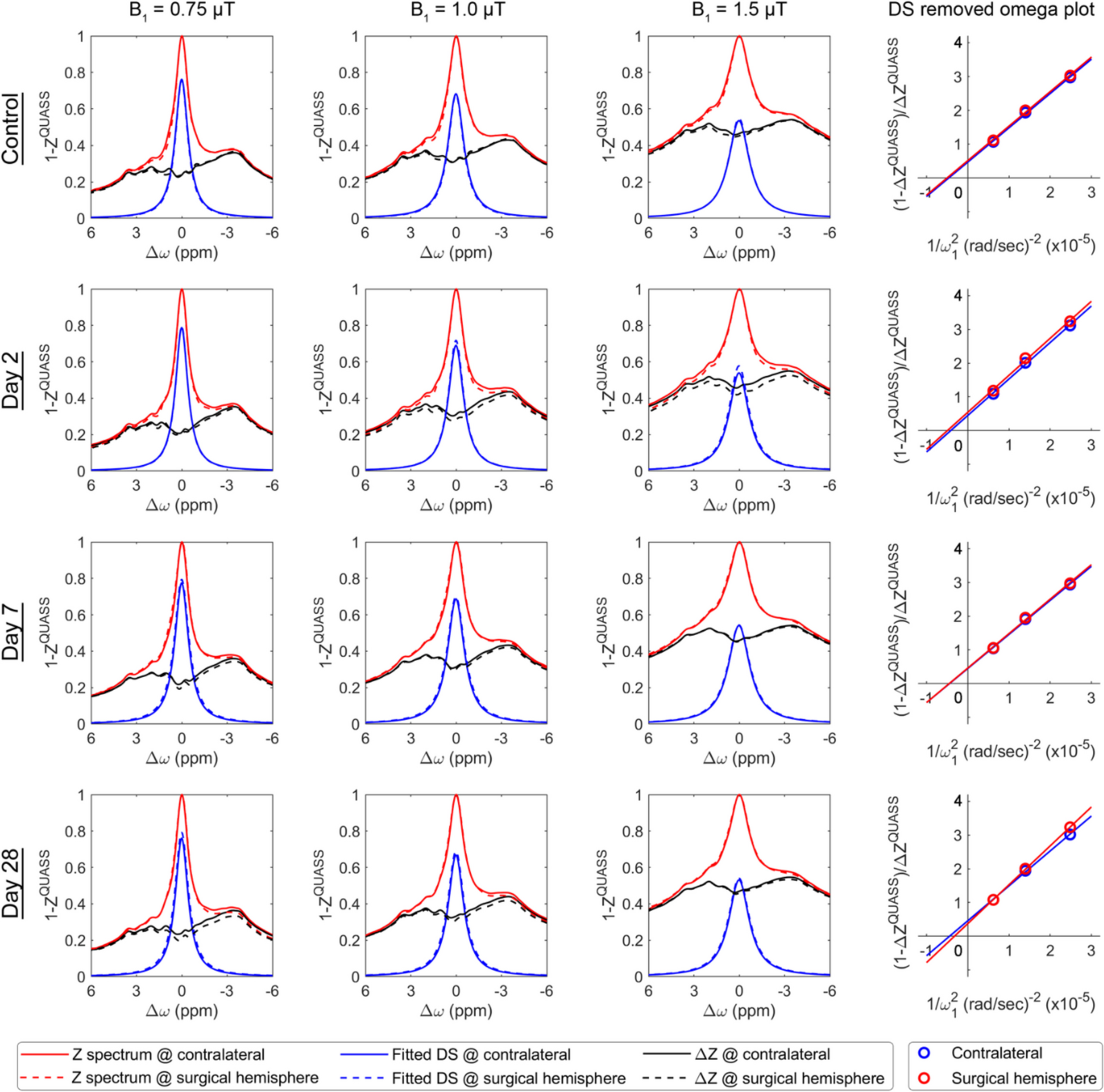 Evaluation of Brain Impairment Using Proton Exchange Rate MRI in a Kainic Acid-Induced Rat Model of Epilepsy