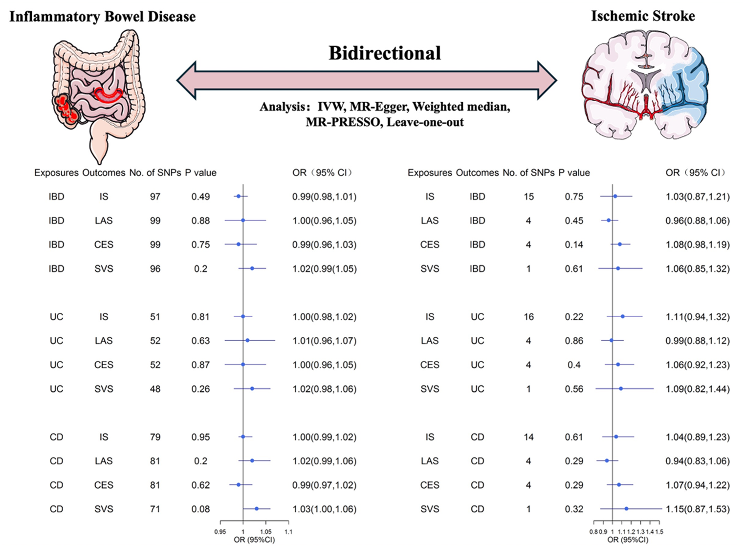 Exploring the causal inference of inflammatory bowel disease and ischemic stroke: a bidirectional two-sample Mendelian randomization study