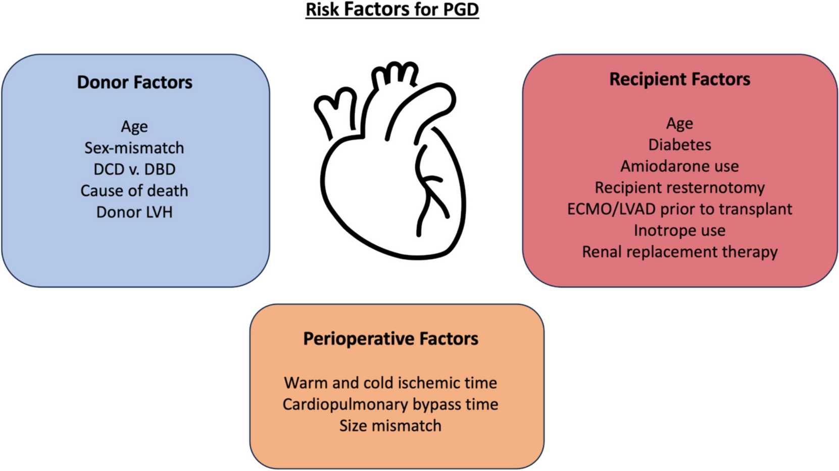 Primary Graft Dysfunction after Heart Transplantation: Current Evidence and Implications for Clinical Practice