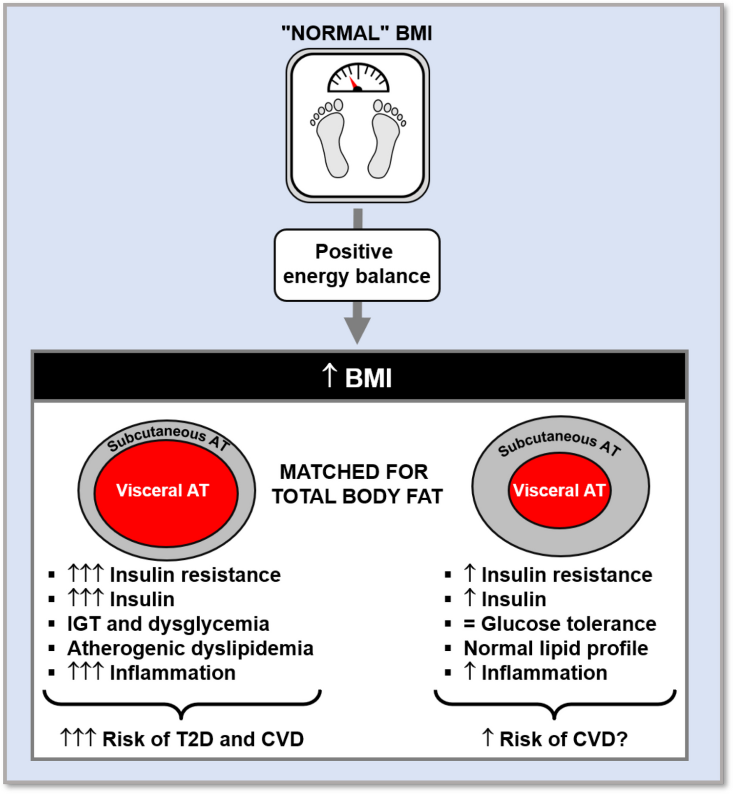 Promotion of Cardiometabolic Health: A Personal Journey