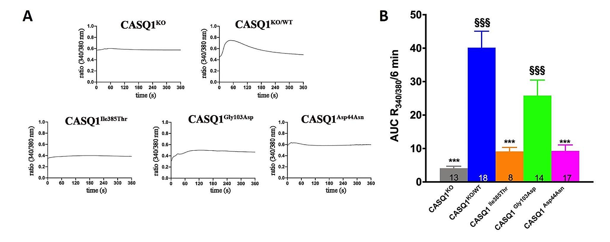 TAM-associated CASQ1 mutants diminish intracellular Ca2+ content and interfere with regulation of SOCE
