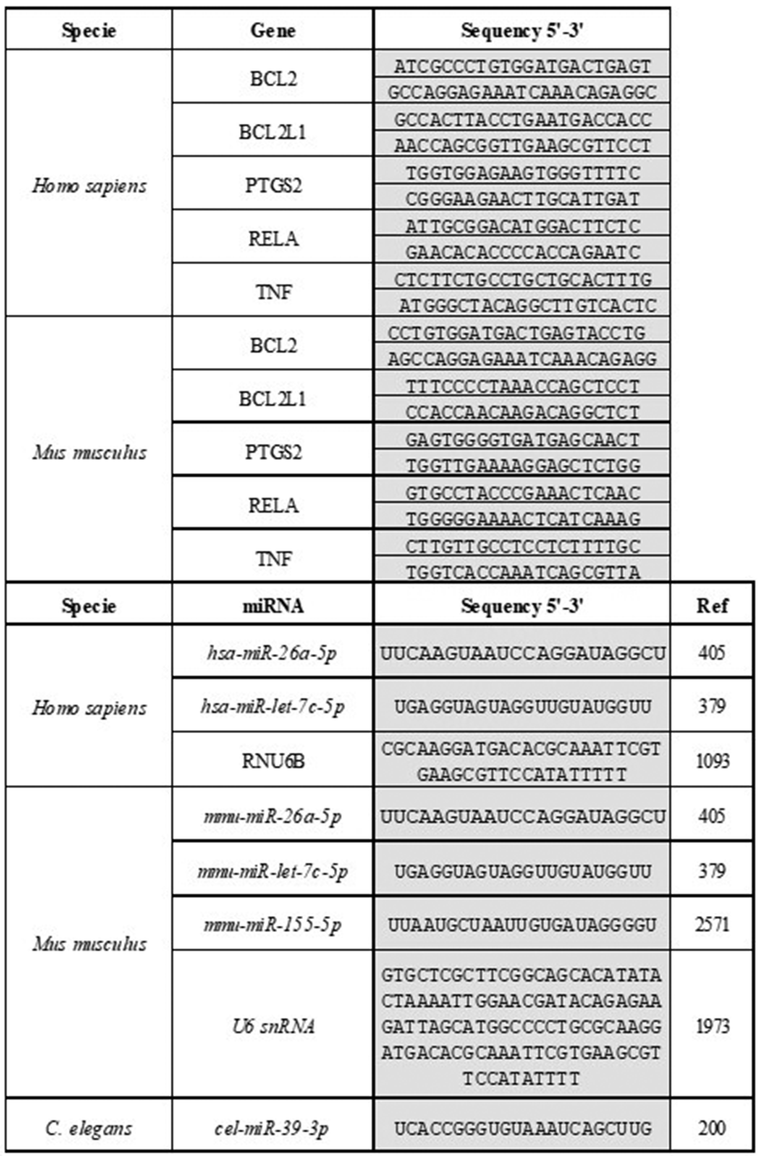 MiRNAs and tempol therapeutic potential in prostate cancer: a preclinical approach