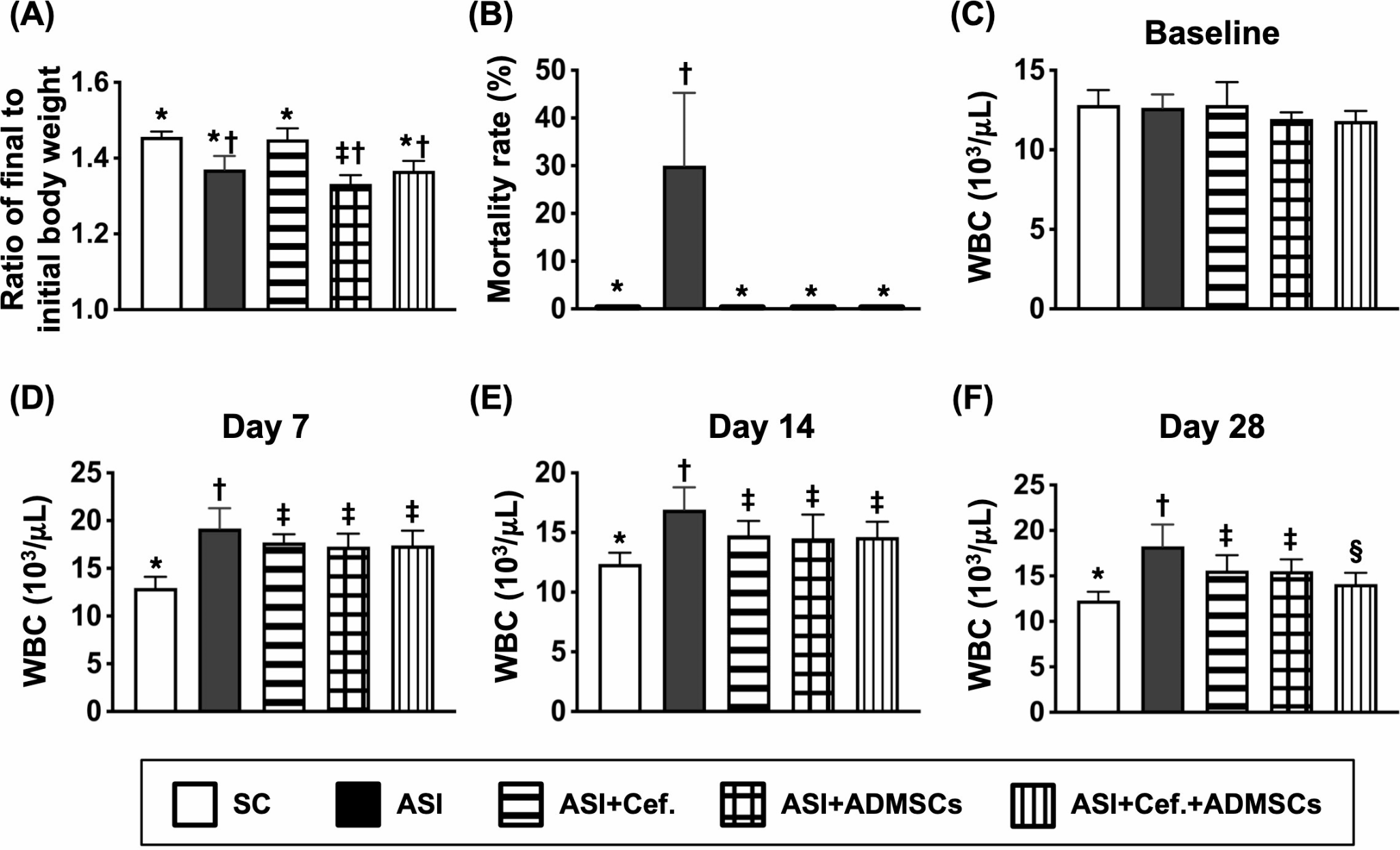 Additional benefits of combined ceftriaxone and adipose-derived mesenchymal stem cells on revamping the outcomes in rodent after acute spinal infection