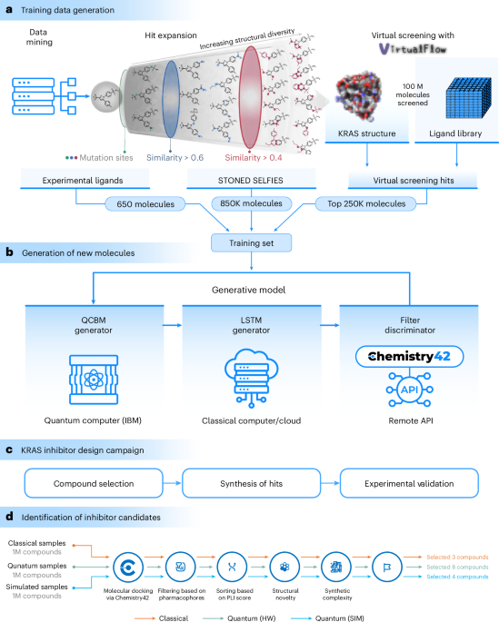 Quantum-computing-enhanced algorithm unveils potential KRAS inhibitors