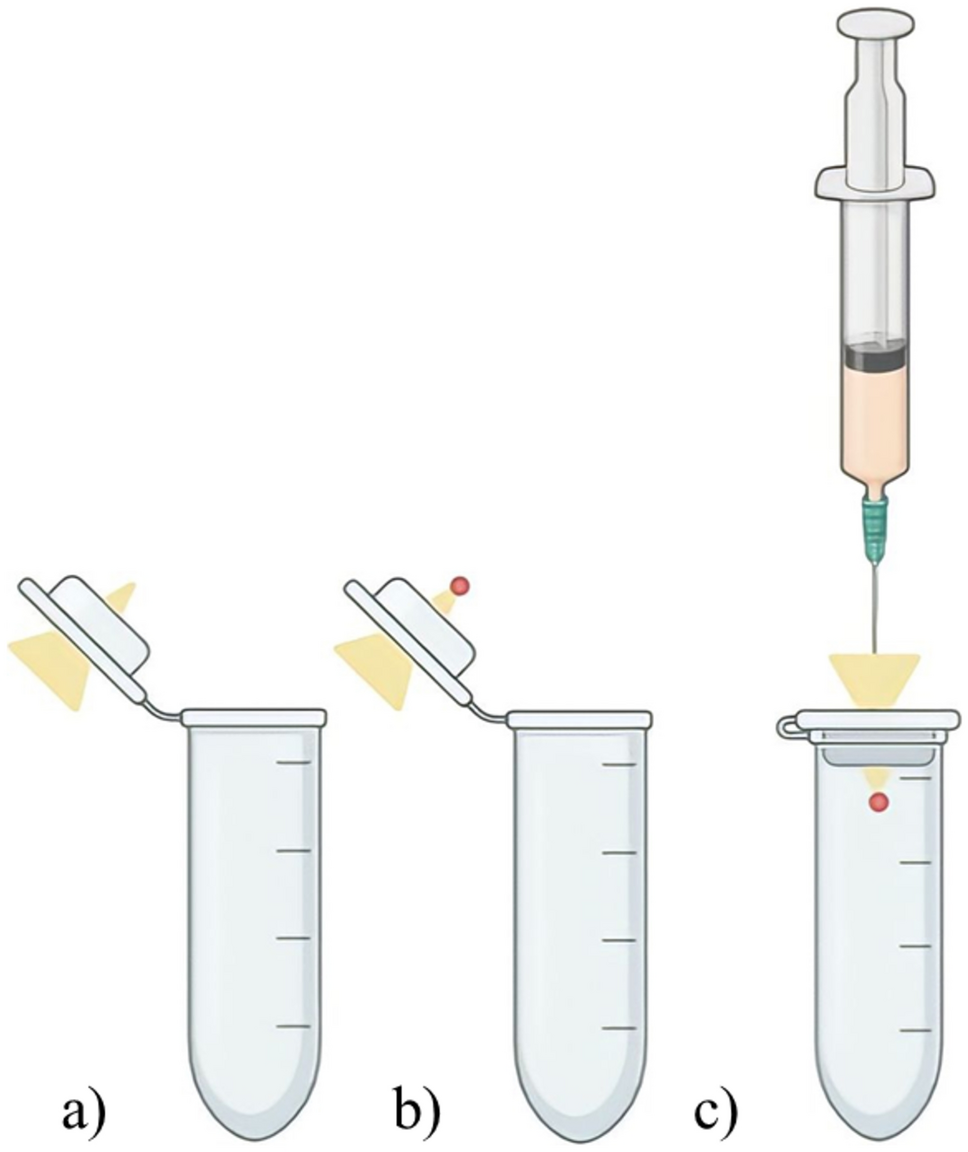 Do instrument kinematics and the apical preparation limit influence canal disinfection and bacterial extrusion?