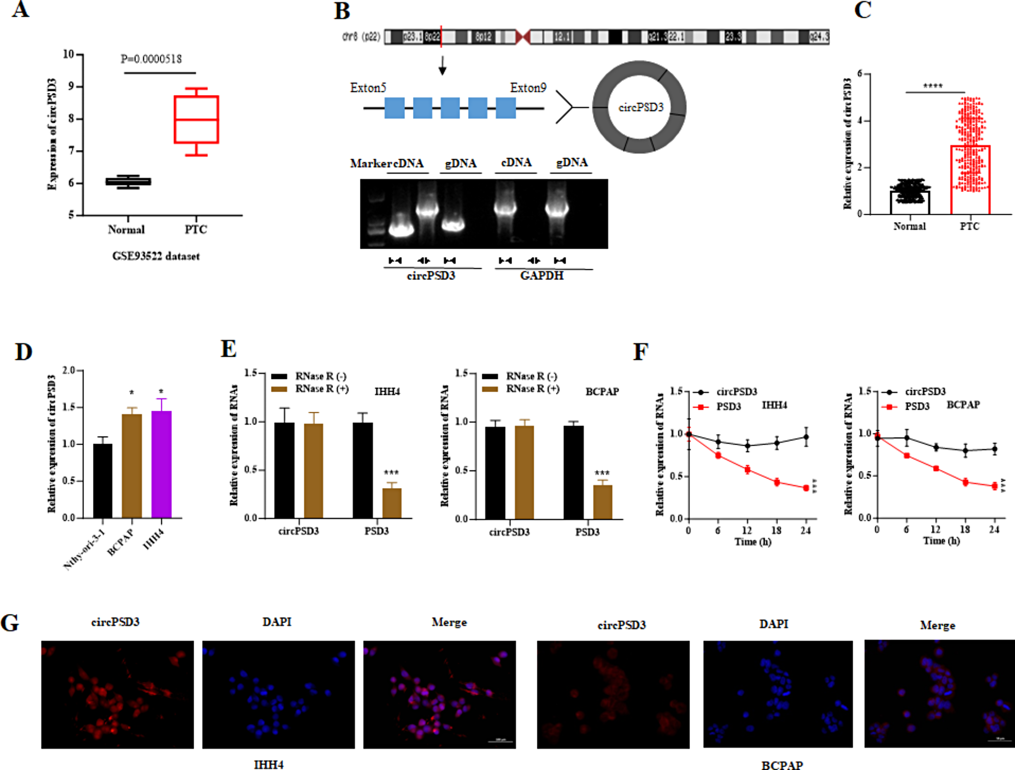 BRAF regulates circPSD3/miR-526b/RAP2A axis to hinder papillary thyroid carcinoma progression