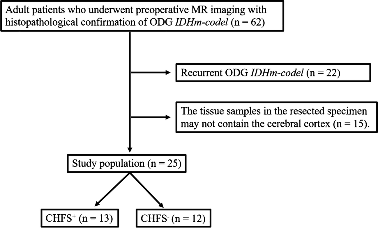 The cortical high-flow sign in oligodendroglioma, IDH-mutant and 1p/19q-codeleted is correlated with histological cortical vascular density