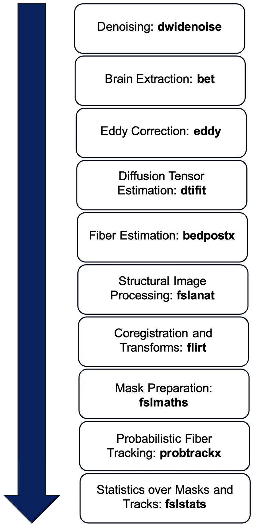 Reorganization of central auditory pathways in vestibular schwannoma: a diffusion tensor imaging study